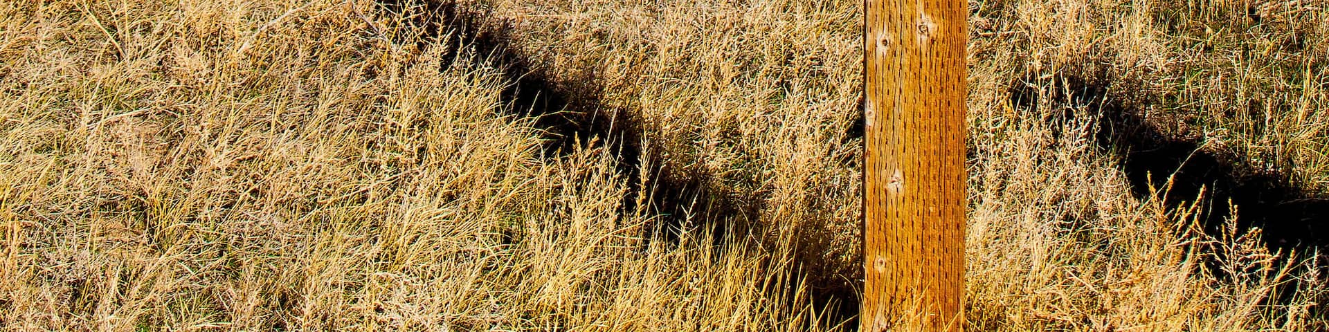 Pawnee National Grassland, Northeastern Colorado