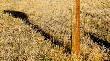 Pawnee National Grassland, Northeastern Colorado