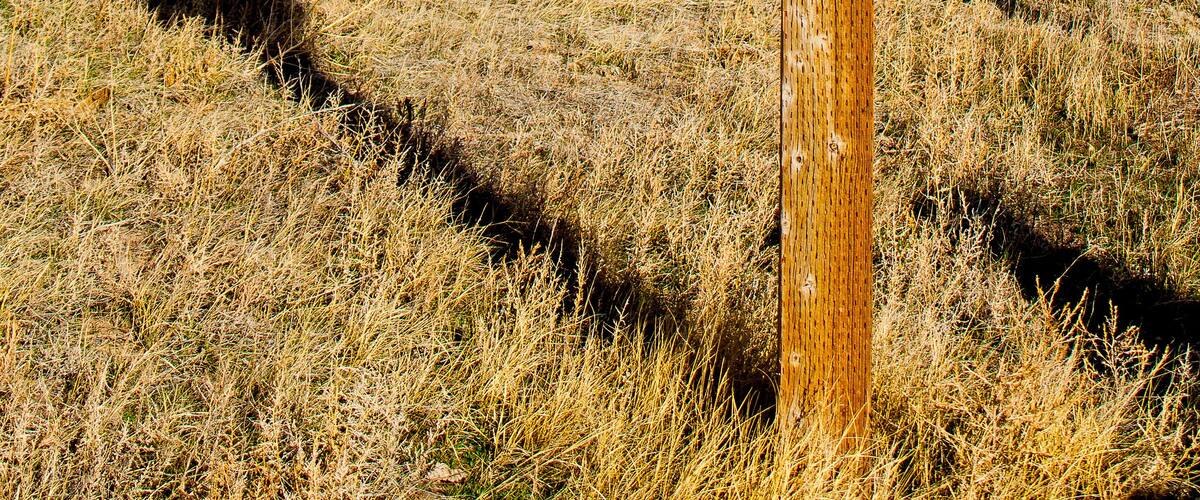 A wooden sign with yellow lettering that reads "PAWNEE National Grassland U.S. Department of Agriculture" in a grassy field with a fence and a dirt road in the background.