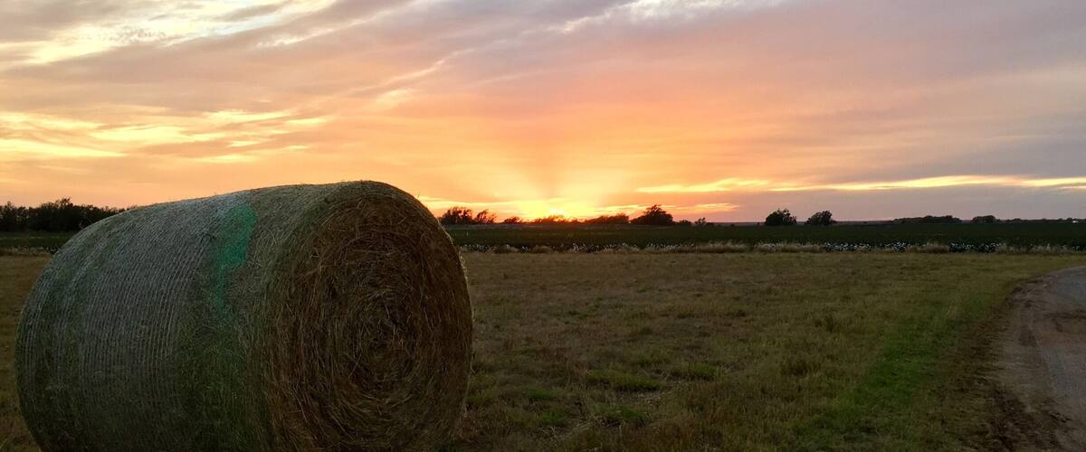 A warm evening sunset.
#route66#Sunset#Oklahoma