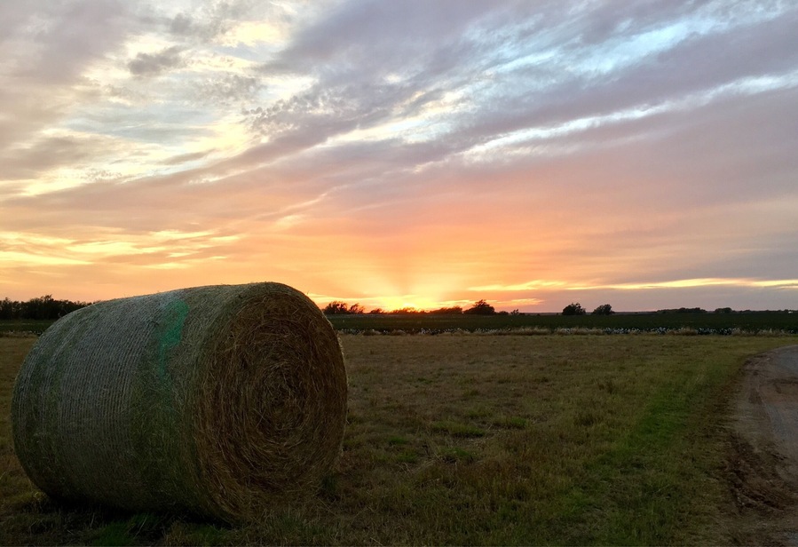 A warm evening sunset.
#route66#Sunset#Oklahoma
