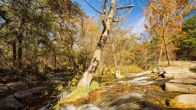 Sunny view of the Little Niagara Falls of Chickasaw National Recreation Area