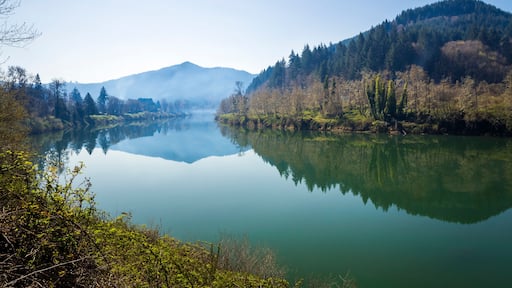 Beautiful river landscape in the early morning with reflection of hills with wooded banks in calm water. Umpqua river in Oregon