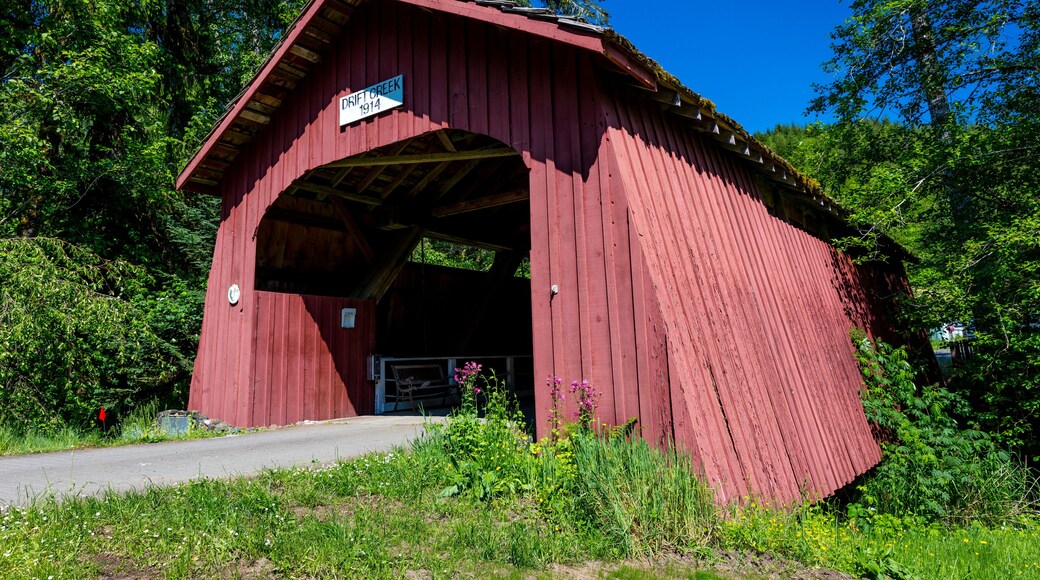 MAY 29, 2019, OREGON - Drift Creek Covered Bridge, Oregon, Built 1914 - Lincoln County near Bear Creek Road