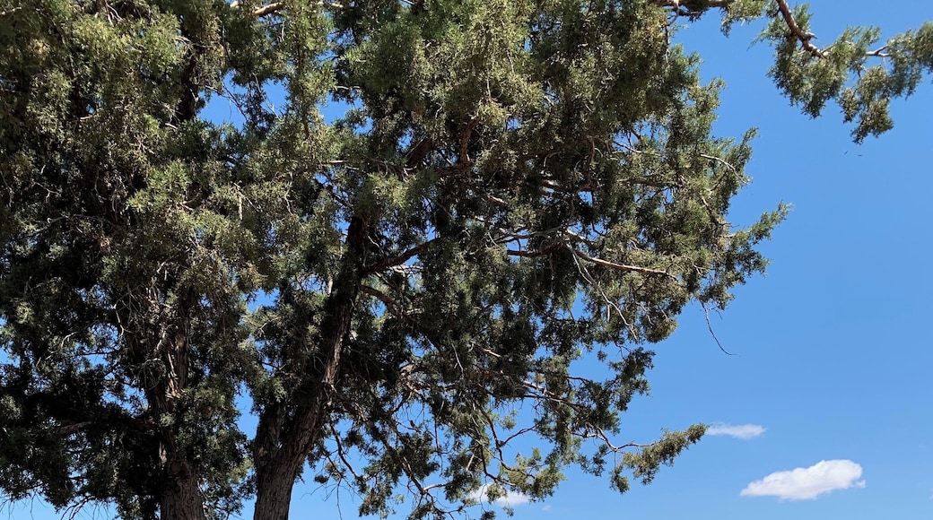 Random phone booth on dead end gravel “county” road in rural Oregon.
#culture