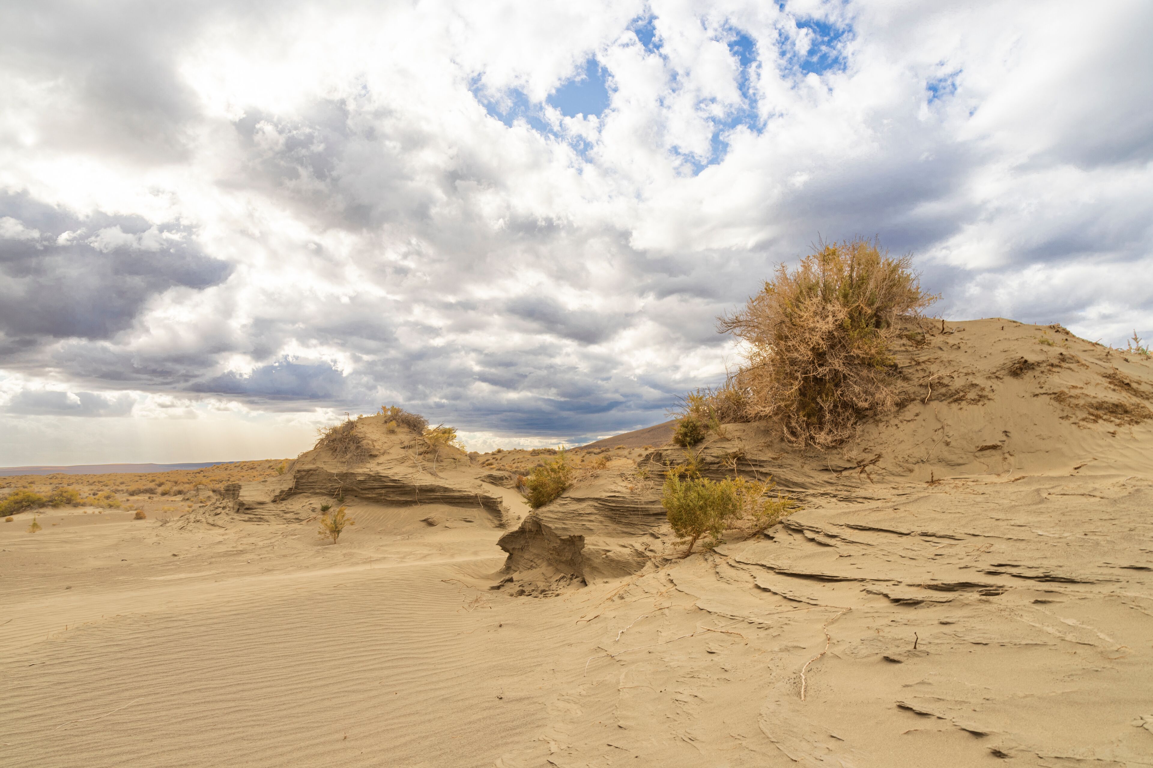 كريسماس فالي