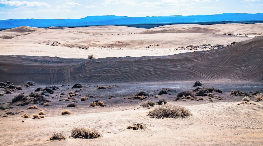 Christmas Valley Sand Dunes are a natural sand dune complex covering 11,000 acres of public lands east of Christmas Valley in Lake County, Oregon. #lifeatexpedia