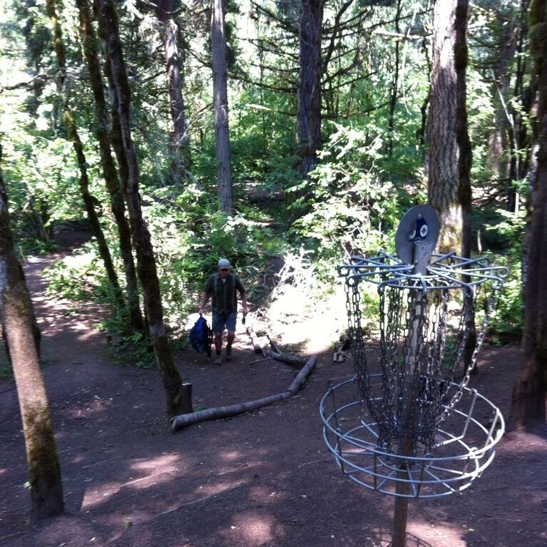 A disc golf basket in a forested area with a person carrying a bag.