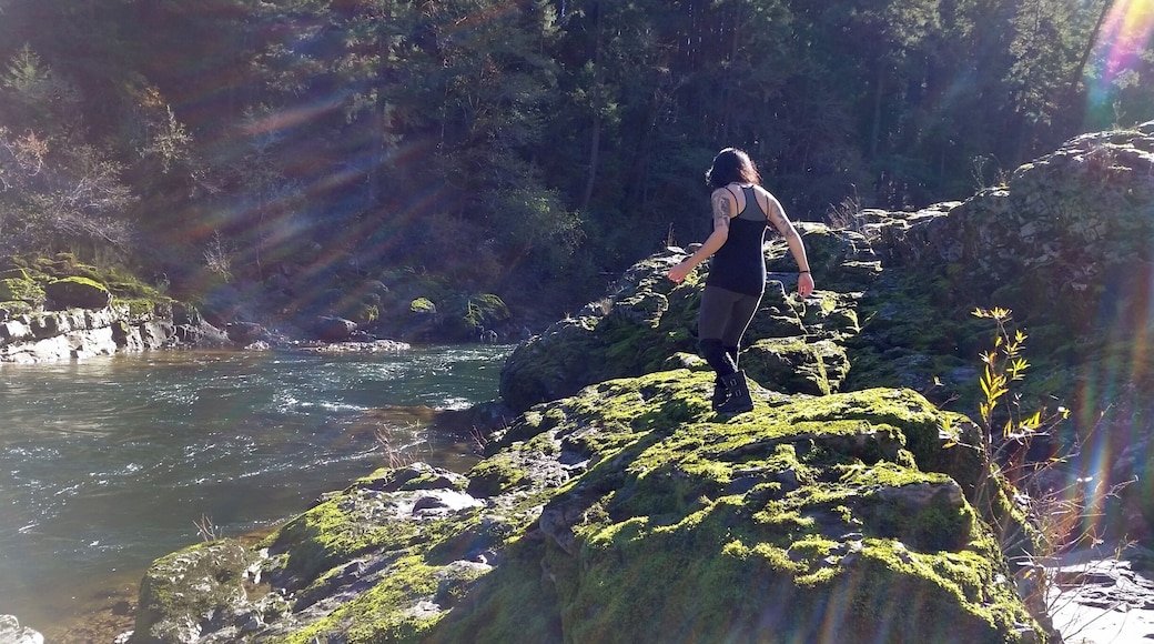 Pull off on the highway, walk down to Narnia.