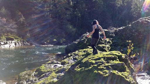 Pull off on the highway, walk down to Narnia.