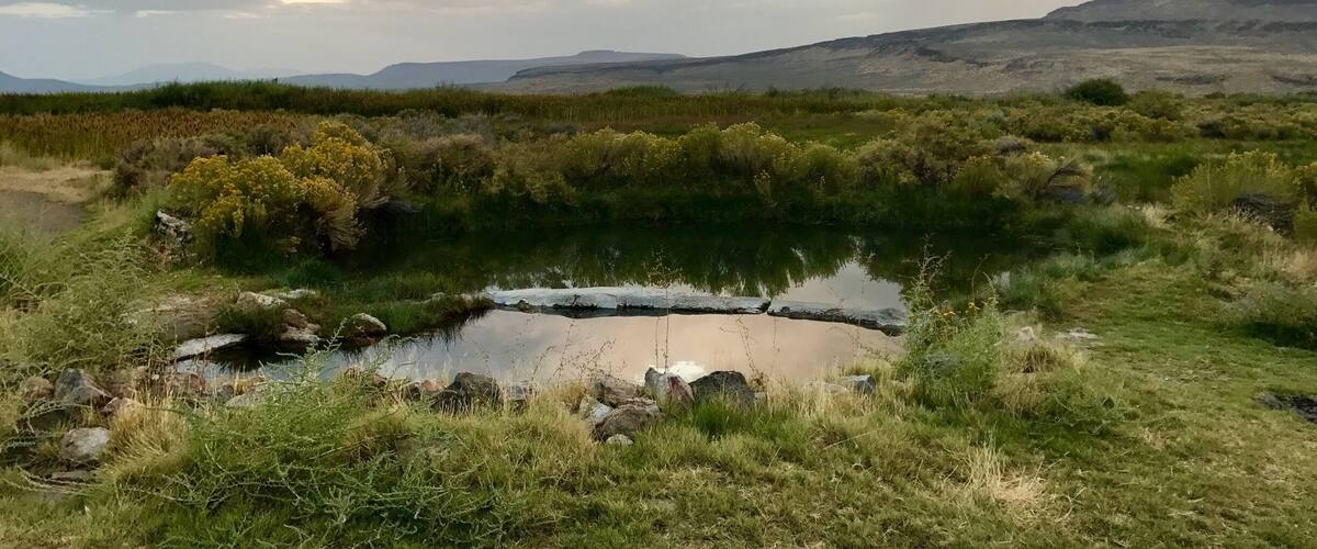 A natural landscape with a small pond surrounded by grassy areas and wildflowers, with hills in the background under a cloudy sky.