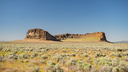 Oregon's Fort Rock ancient volcanic tuff ring, in the high desert near Bend
