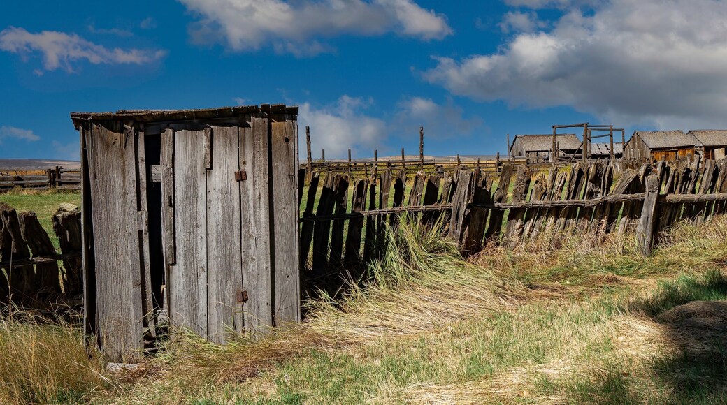 a Unique vintage fence with abandoned farm buildings near Frenchglen Oregon