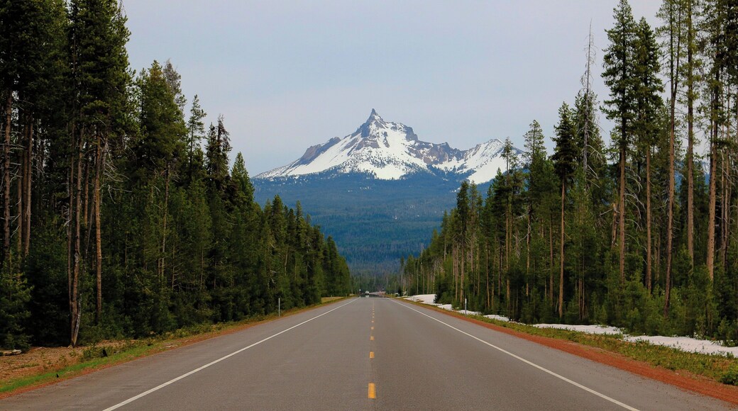 Stop, turn back, and click.!!
View of Mt. Thielsen enroute Crater Lake National Park. How beautiful it is when you notice that you're all alone on a road with lush green trees on the sides and a gorgeous mountain peak right at the center. It must definitely not go unnoticed.
#mountthielsen #scenicbyway #portlandoregon #landscape #canonphotography #canonusa #canon70d #natgeoadventure #travelgasm #travelgram #mountain #mountainpeak #explore #traveller