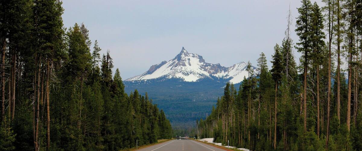 A road flanked by tall evergreen trees, leading to a snow-capped mountain.