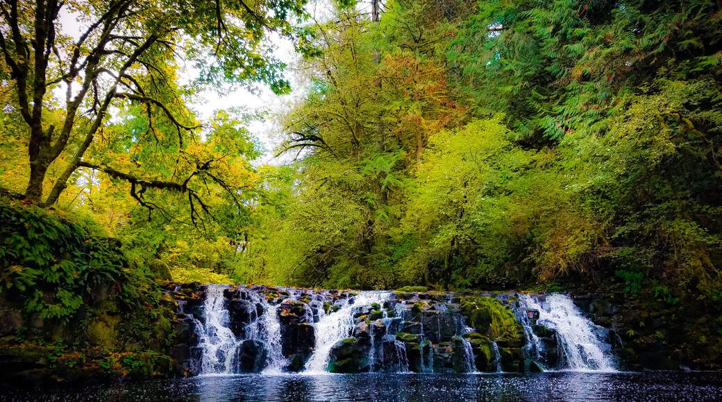 Beautiful waterfall just off the side of the road.