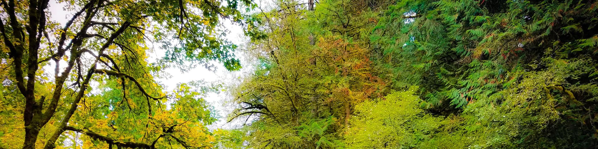 Beautiful waterfall just off the side of the road.