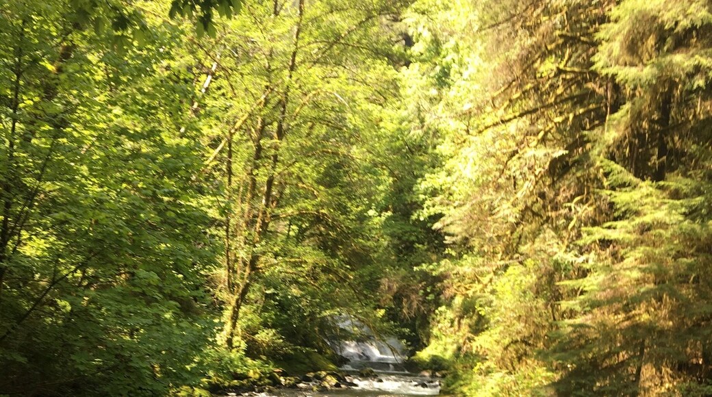 Amazing water views along the entire hike
#hike #familyfun #kidfun #trails #views #waterfall #outdoors #hiking #pnw #oregon #explore #adventure