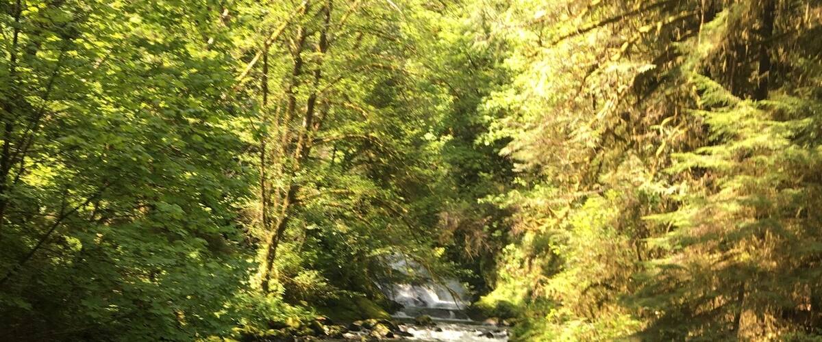 Amazing water views along the entire hike
#hike #familyfun #kidfun #trails #views #waterfall #outdoors #hiking #pnw #oregon #explore #adventure