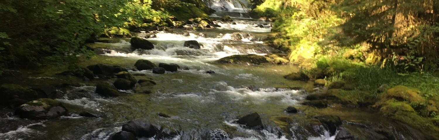 Amazing water views along the entire hike
#hike #familyfun #kidfun #trails #views #waterfall #outdoors #hiking #pnw #oregon #explore #adventure