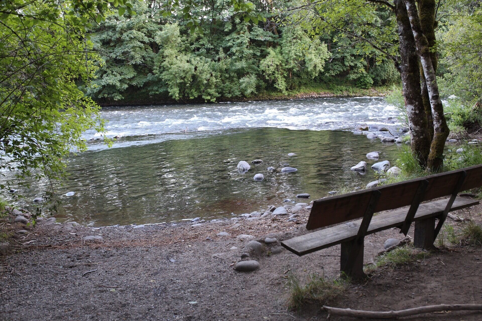A river with rocks, a wooden bench, and dense green foliage.