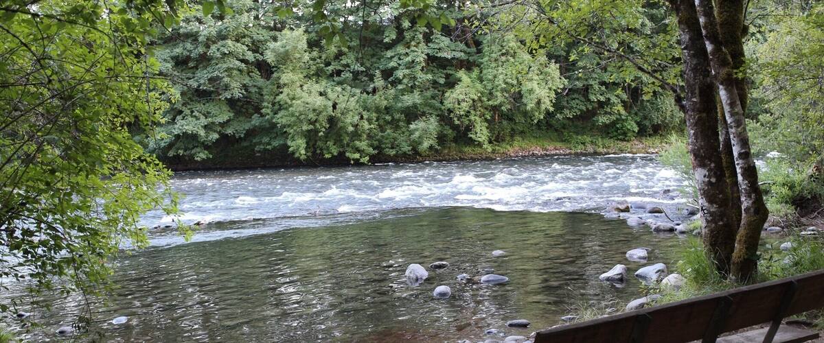 A river with rocks, a wooden bench, and dense green foliage.
