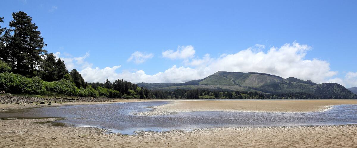 A beach with a river, trees, and mountains in the background.