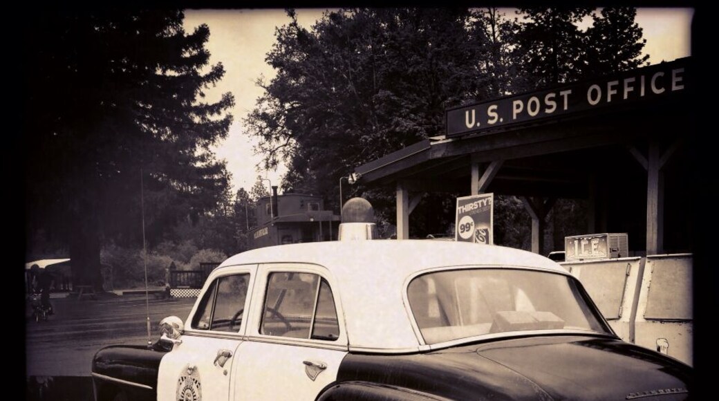 Roadside Relic
#biketour
#bellowwingstrangely