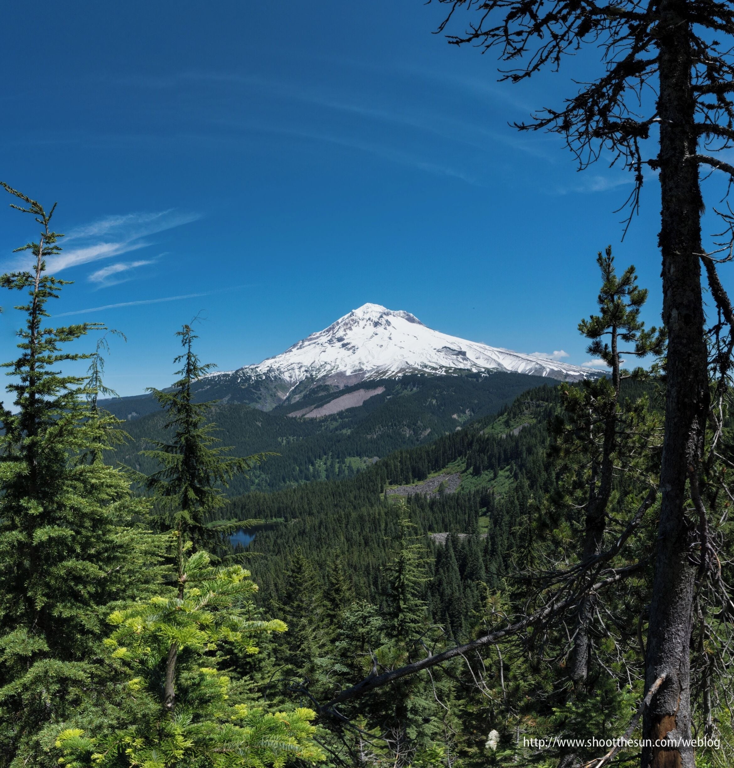 A snow-capped mountain, dense forest, and a clear blue sky.