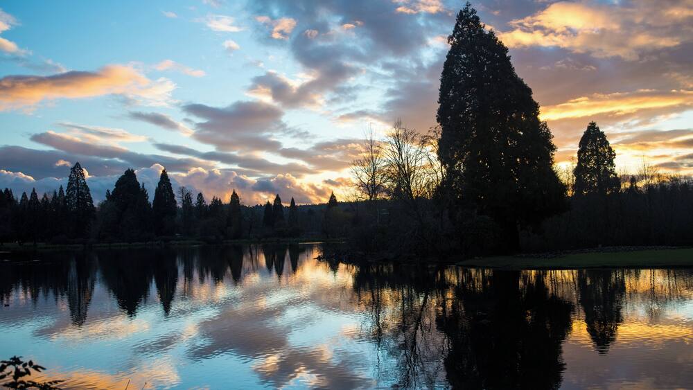 A calm lake reflecting trees and a sunset sky.