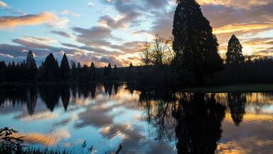Chasing sunsets. #crystalspringsrhododendrongarden #oregon #portland #botanicalgardens #sunset