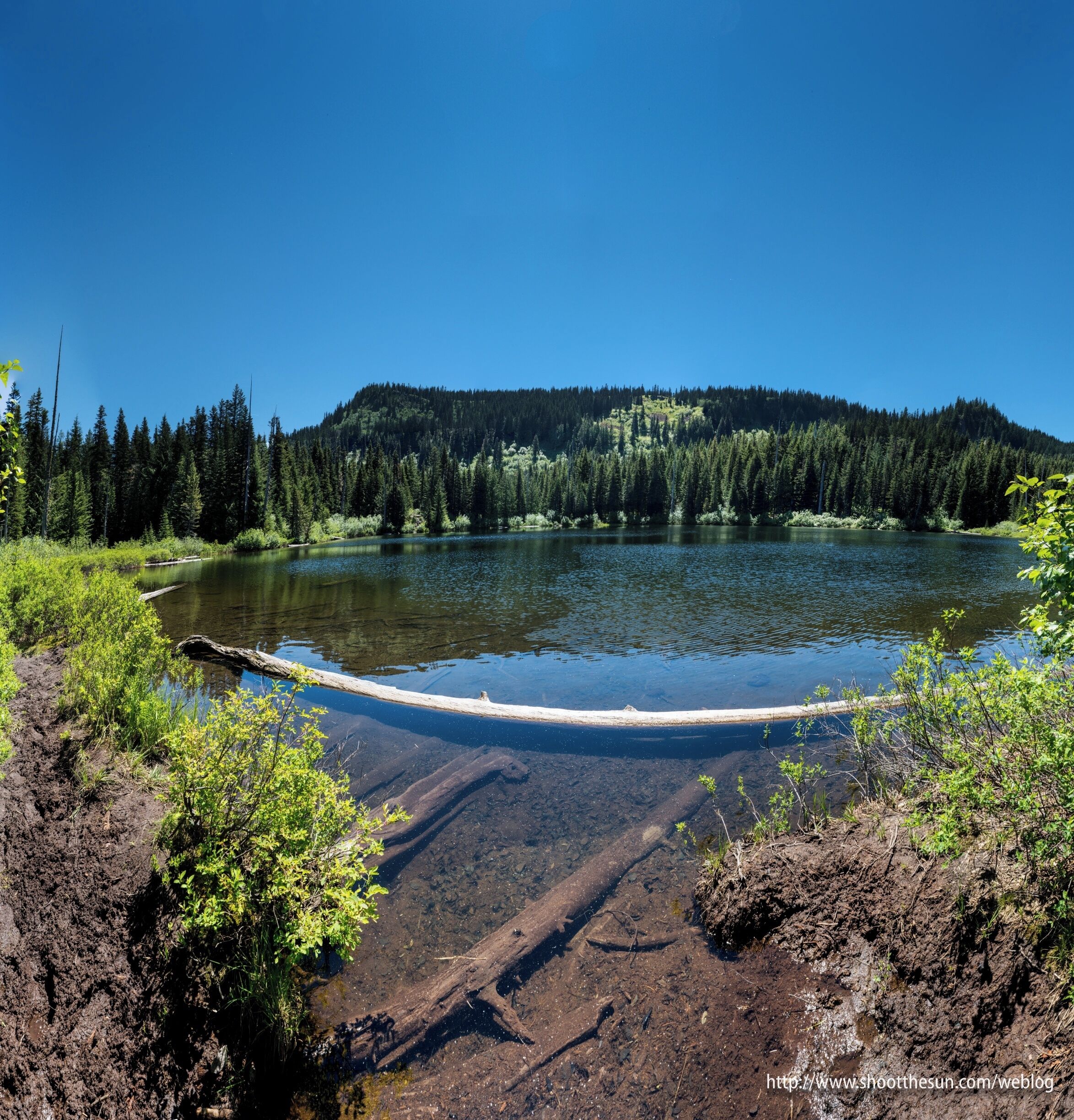 Visit Rhododendron: 2026 Travel Guide for Rhododendron, Oregon | Expedia