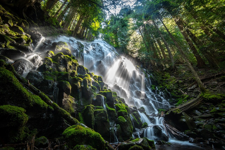 A necessary water stop for backpackers on the Timberline Trail, this cascading waterfall near Mt. Hood reveals the volcanic rock in the area often hidden by soil and vegetation.