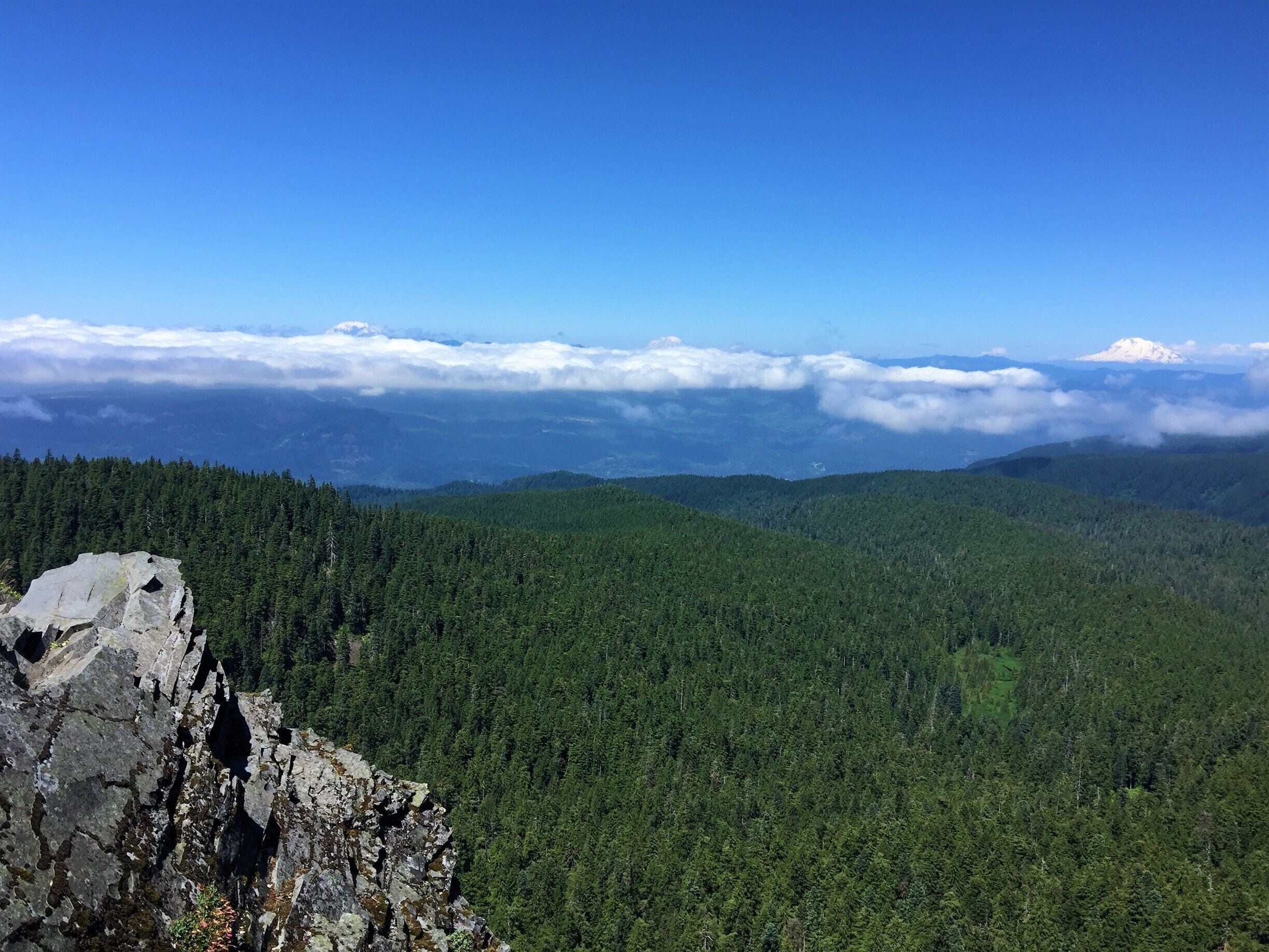 Things to Do in Rhododendron in 2026 | Expedia