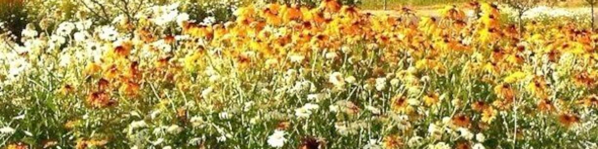 Beautiful winery and great selection of wines. We enjoyed the tasting and lunch. One of my favorites is Cali's Cuvée 2012.
Great place to visit if you happen to be at the Willamette Valley area.