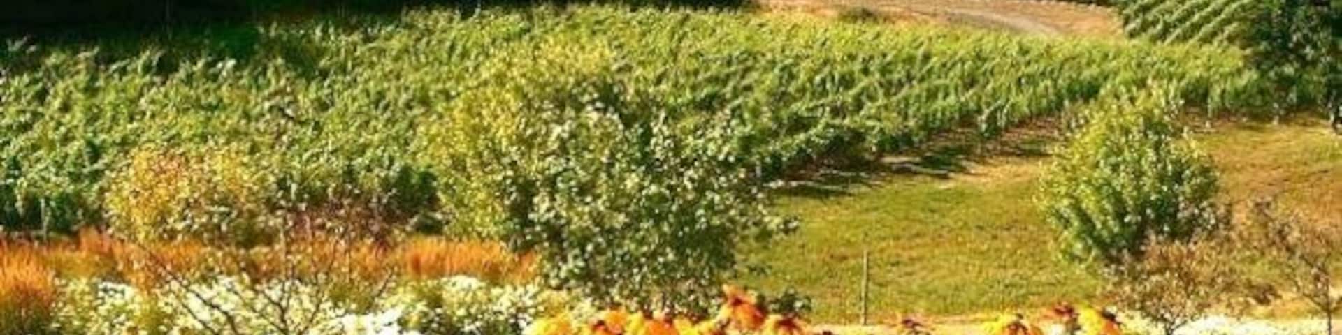 Beautiful winery and great selection of wines. We enjoyed the tasting and lunch. One of my favorites is Cali's Cuvée 2012.
Great place to visit if you happen to be at the Willamette Valley area.