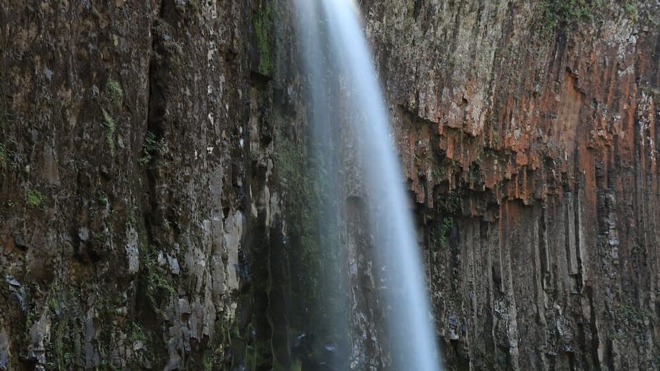 A waterfall cascading down a rocky cliff into a calm pool surrounded by dense forest.