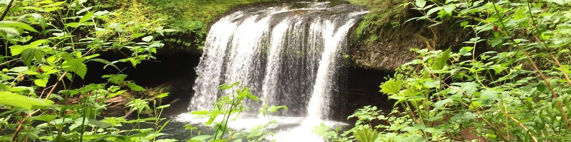 Nice little hike just outside of Scott's Mill, OR.