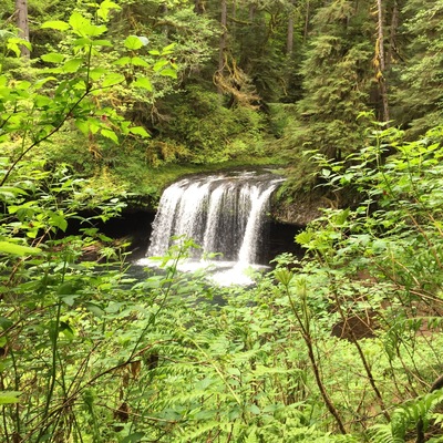 Nice little hike just outside of Scott's Mill, OR.