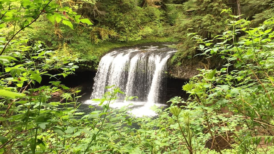 A waterfall surrounded by dense green foliage and trees.