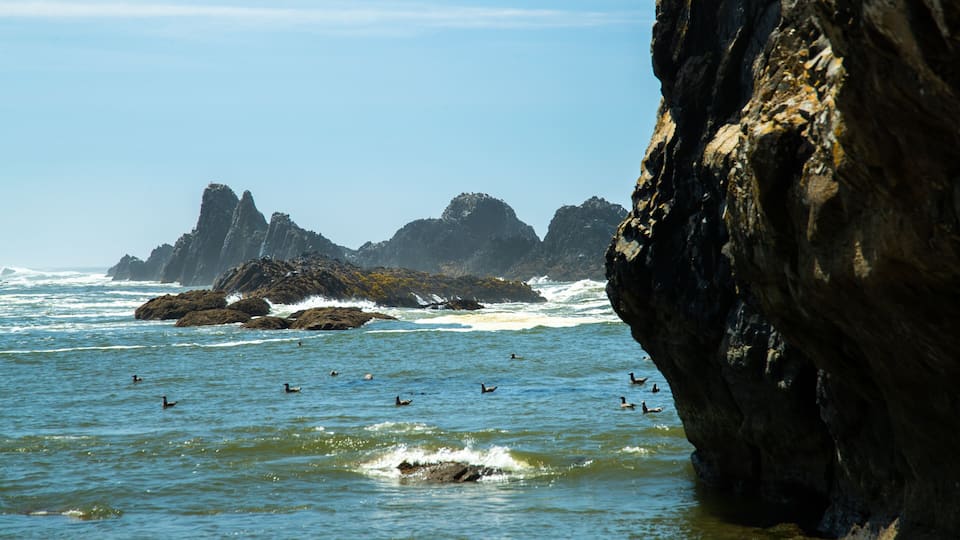 A rocky coastline with waves crashing against the rocks and several ducks swimming in the water.