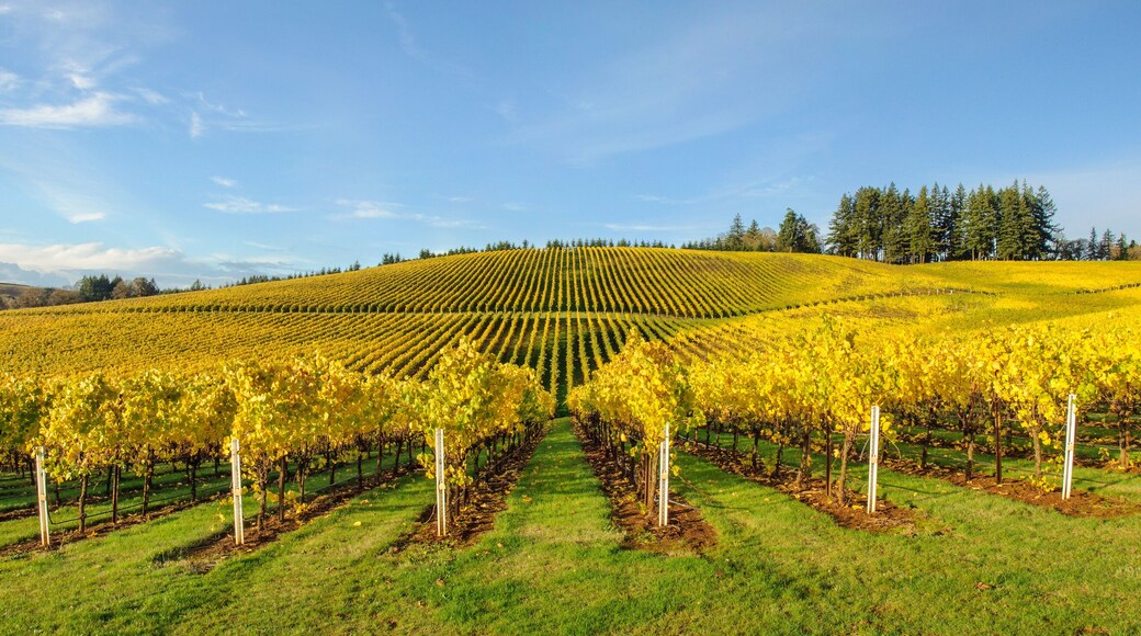 Agriculture and Fall Colors of Oregon