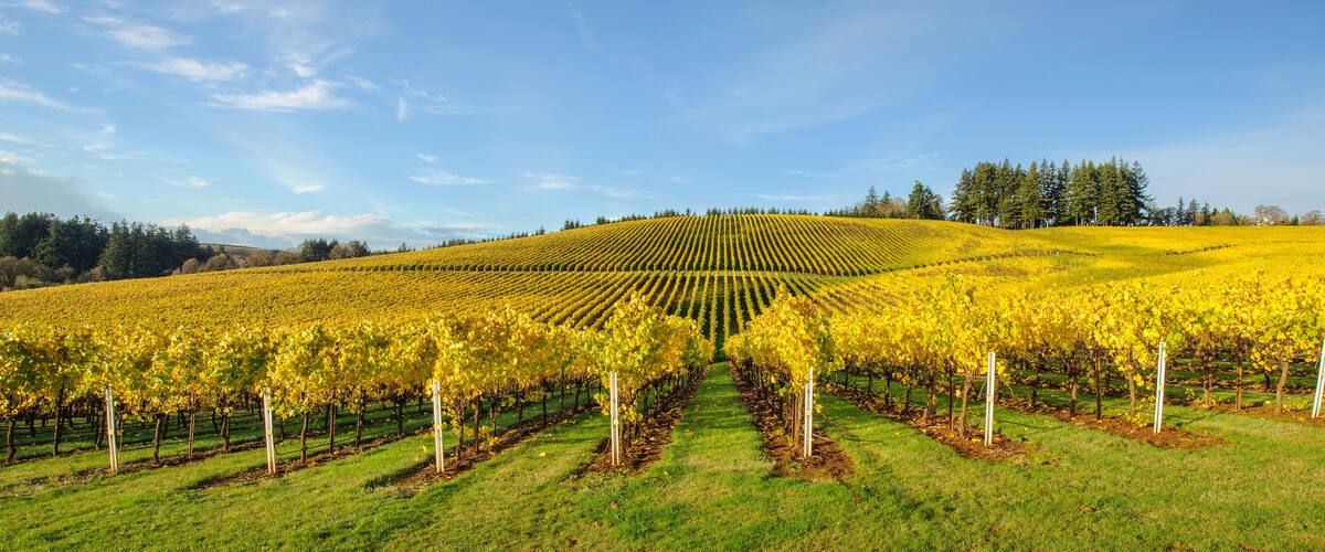 Agriculture and Fall Colors of Oregon