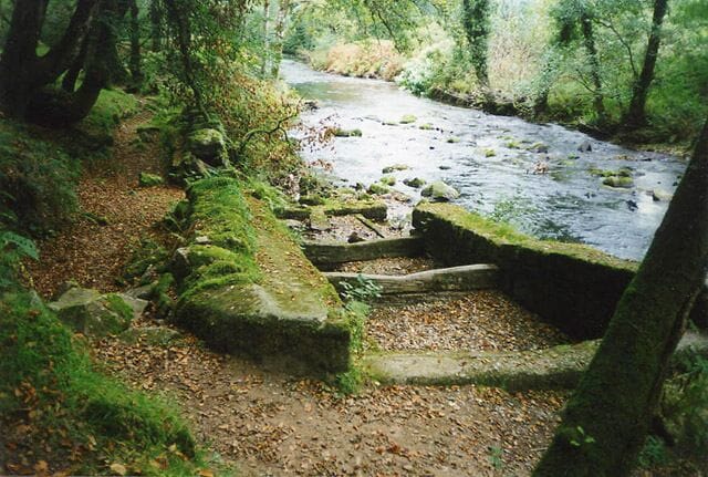 Buckland Monachorum: weir on the river Walkham. The weir served the Lady Bertha Mine at SX471689, a mile or more away. The leat on the left, now a dry ditch, powered water wheels on the mine, used for crushing ores and initially for pumping water. The mine raised nearly 4,400 tons of copper ore and almost 1,700 tons of arsenic in the period 18551882. Note the remains of a fish pass here