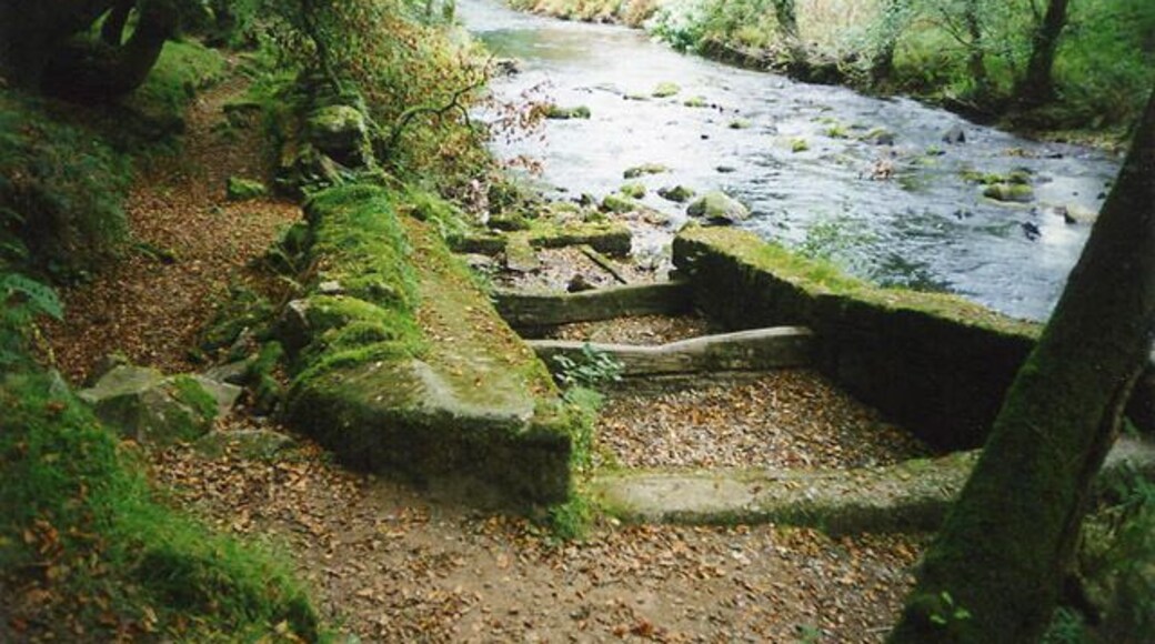 Buckland Monachorum: weir on the river Walkham. The weir served the Lady Bertha Mine at SX471689, a mile or more away. The leat on the left, now a dry ditch, powered water wheels on the mine, used for crushing ores and initially for pumping water. The mine raised nearly 4,400 tons of copper ore and almost 1,700 tons of arsenic in the period 18551882. Note the remains of a fish pass here