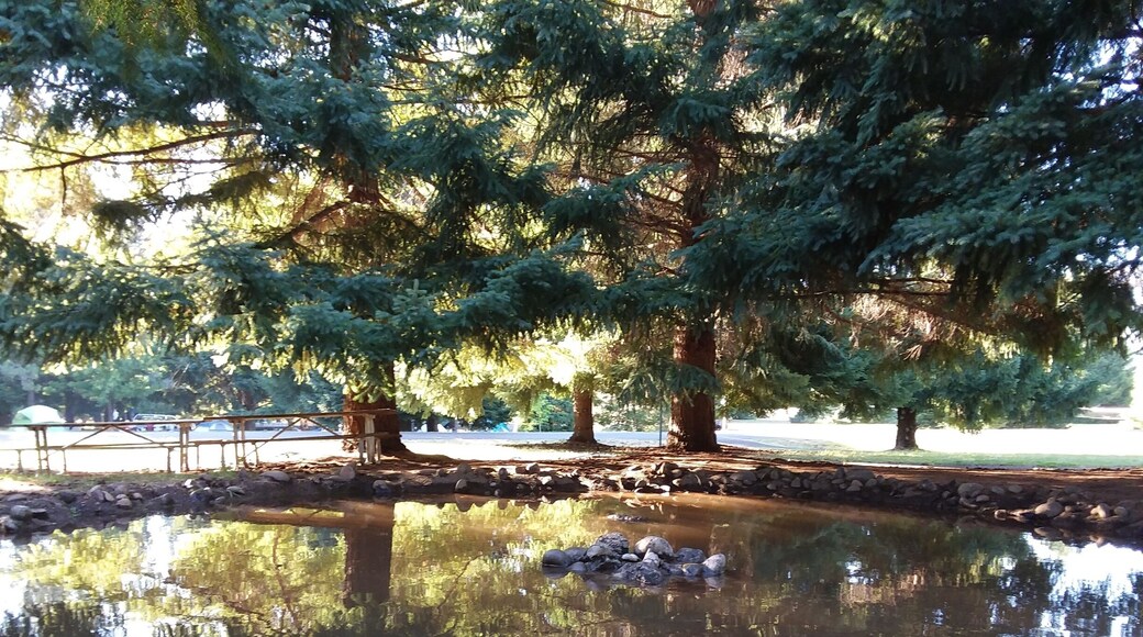 Wonderful camp with lots of places to explore. Taken at the little park. Has a fountain with artificial river/pond you can play in.