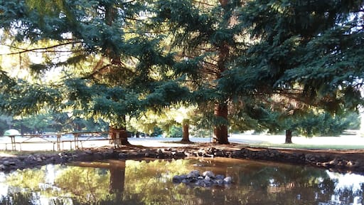 Wonderful camp with lots of places to explore. Taken at the little park. Has a fountain with artificial river/pond you can play in.