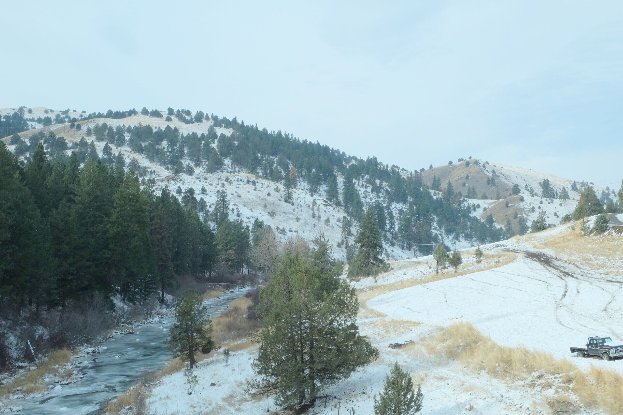 Ponderosa Pine and Juniper dominate this  part of Oregon.  Cattle ranches and rivers too.