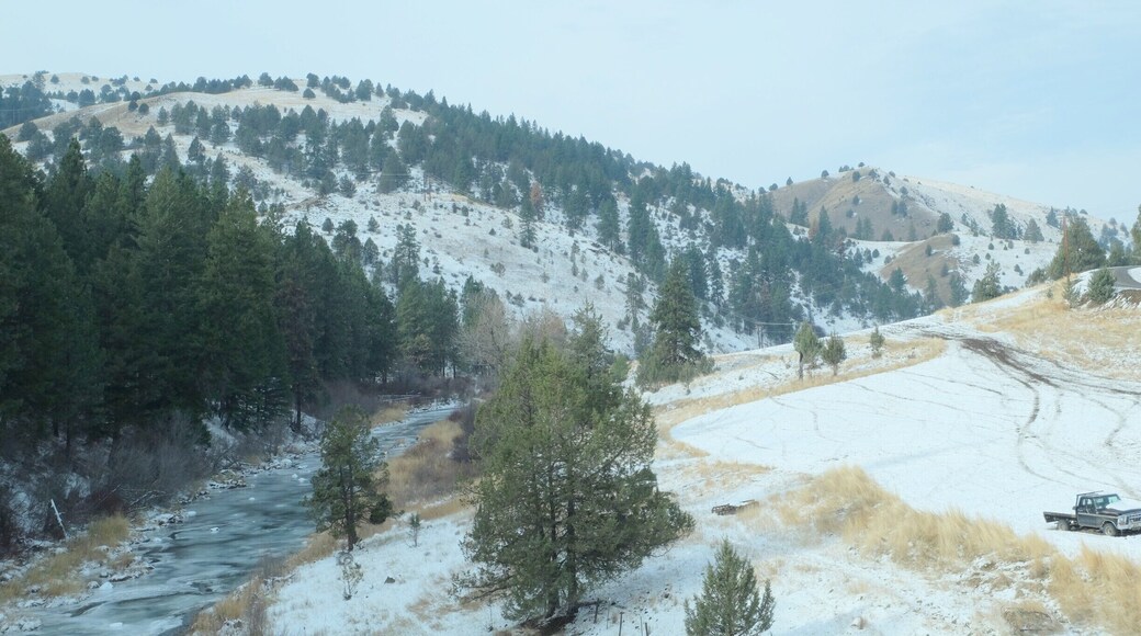 Ponderosa Pine and Juniper dominate this part of Oregon. Cattle ranches and rivers too.