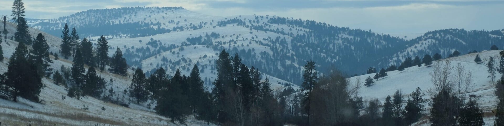 US Hwy 395 is a great way to experience the scenery of Eastern Oregon.